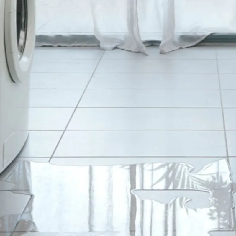 Appliance Leak Cleanup in Mount Vernon, VA