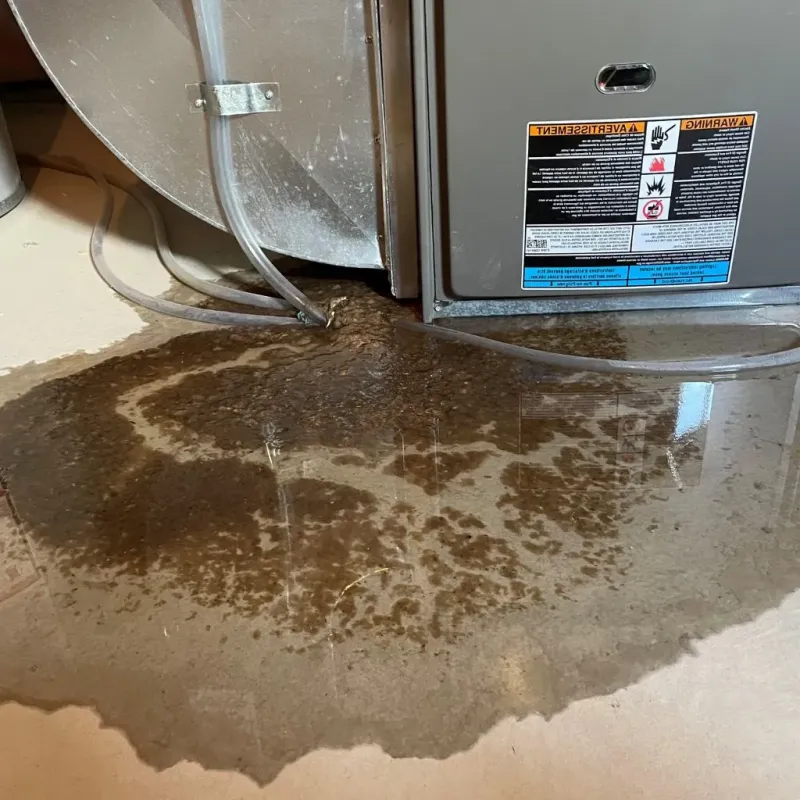 Pipe Burst and Leak Restoration in Mount Vernon, VA